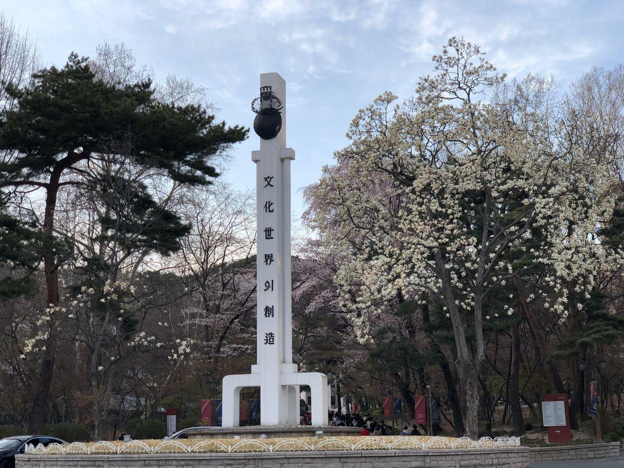 Take a walk on Kyung Hee campus with European architecture and cherry blossoms